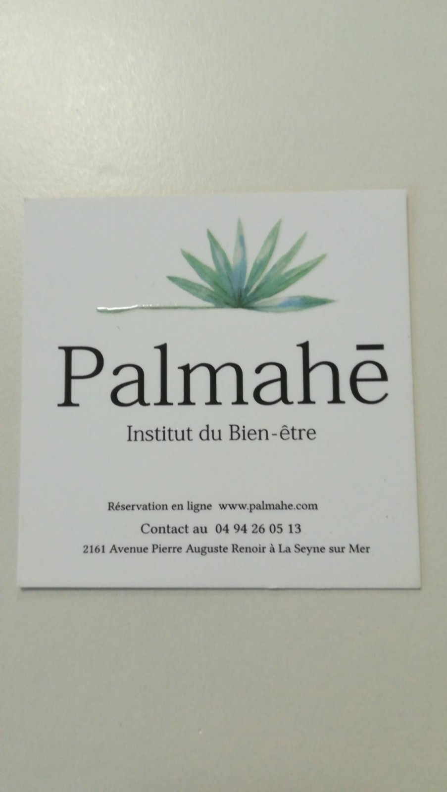 Institut du bien-être La Seyne-sur-Mer Palmahé