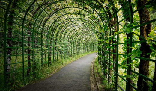 Conception de Pergola sur mesure en fer Forgé à Annonay 