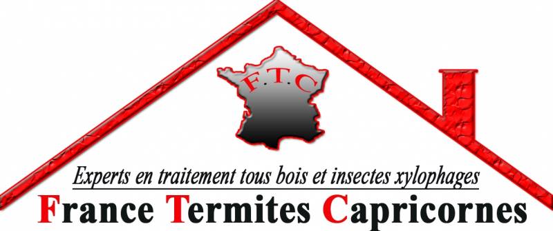 professionnel pour traitement anti termites efficace et pas cher sur Bordeaux